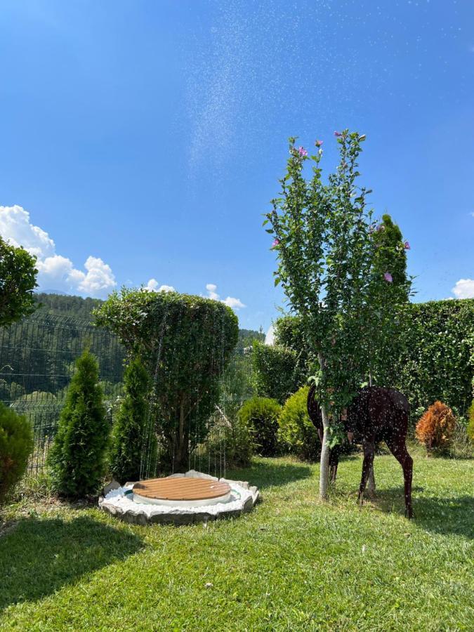 Katarino Spa Chalet Razlog Exteriér fotografie